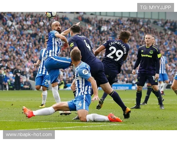 利来体育在线官网引入先进数据分析技术，提升赛事预测的专业性和准确性