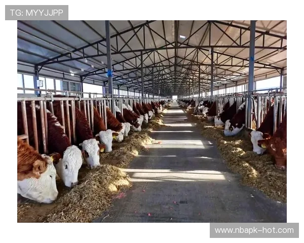 欧博abg数字站未来发展趋势:行业创新与技术升级带来的新机遇与挑战 欧博abg数字站未来发展趋势:行业创新与技术升级带来的新机遇与挑战